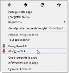 DownThemAll! : menu contextuel