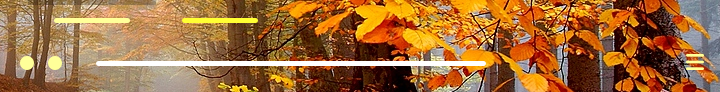 autumn path par candelora